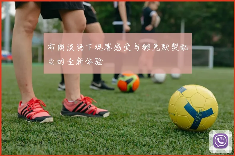 布朗谈场下观赛感受与獭兔默契配合的全新体验